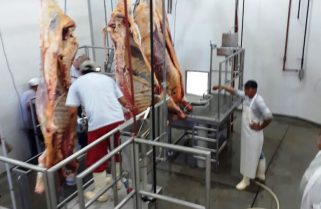 PRODUCCIÓN: Operarios de planta de faena de Ituzaingó, capacitados en Goya