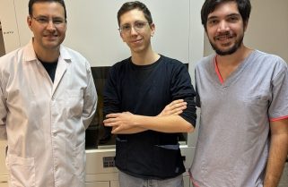 Buscan validar las propiedades farmacológicas de un árbol de crece en Corrientes
