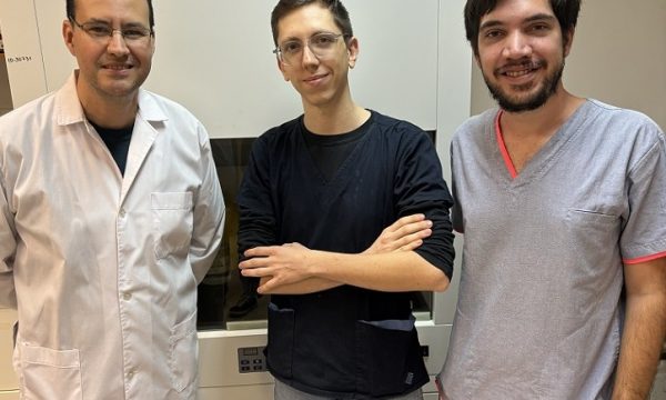 Buscan validar las propiedades farmacológicas de un árbol de crece en Corrientes