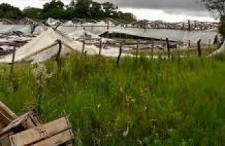 El Ministerio de Producción solicita declaración jurada a productores afectados por la tormenta del 20 de diciembre