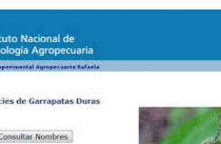 Convocan a productores ganaderos a reunión informativa en Goya y Perugorría